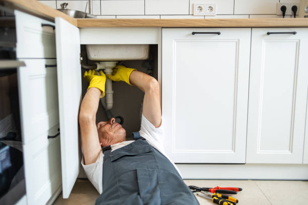 Best Drain Cleaning Services  in Sparta, MI